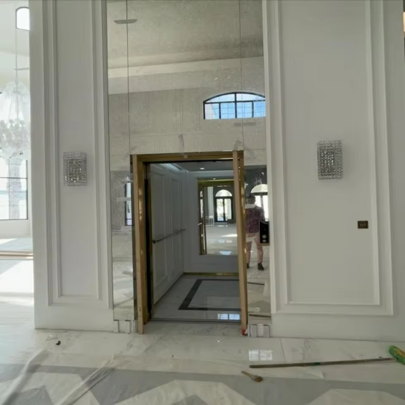 VTEP112 Elevadores Ardaitheoir Paisinéirí Ardluais le haghaidh Gluaiseacht Ingearach Tapa