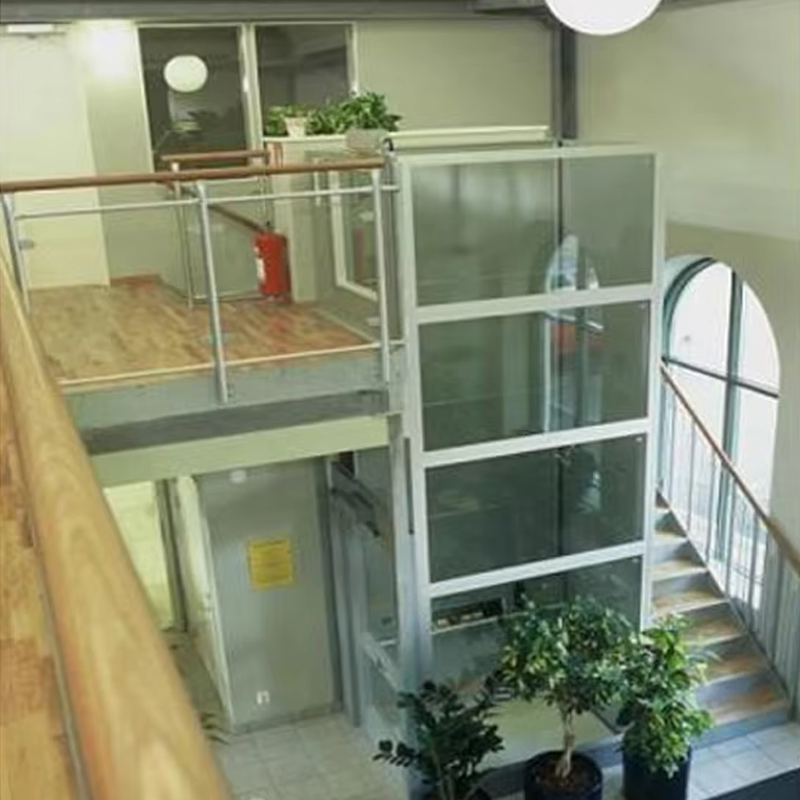 VTEV105 Ascensores Elevadores Ardaitheoir Villa Cábáin Saincheaptha le haghaidh Maisiú Intí