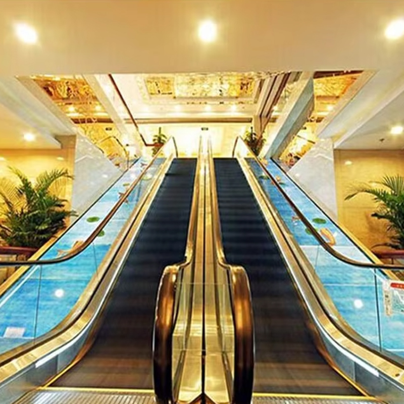 VTES102 0.5m_s Escalator Luas Allamuigh agus Siúlóidí Bogtha le haghaidh Praghas Monarcha