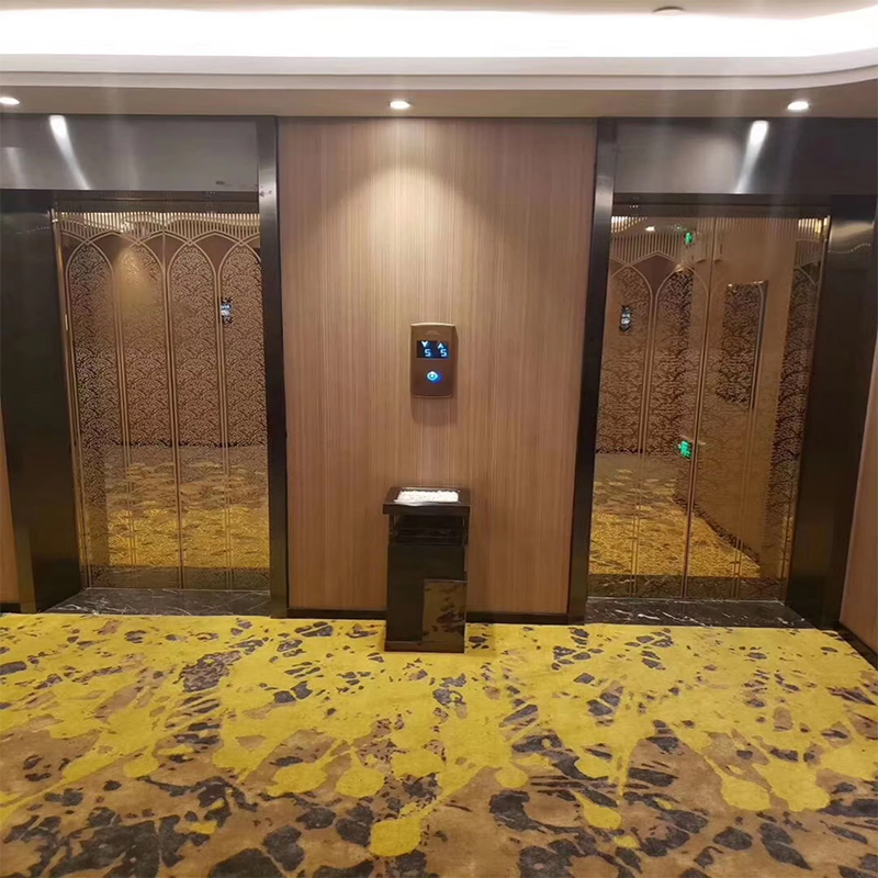 VTEP118 Elevadores Ardaitheoirí Paisinéirí Casta Gearless AC PVC Tógáil Cruach Dhosmálta Feabhsaítear Gnéithe Cliste Deimhnithe ISO90001