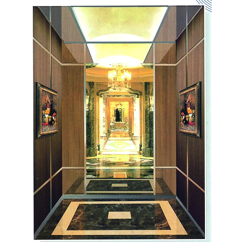 Páirteanna Elevator VTSP132 Dearadh Nua-Aimseartha Cábáin Ardaithe Cruach Dhosmálta Méid Saincheaptha do Thionscadail Chónaithe & Tráchtála