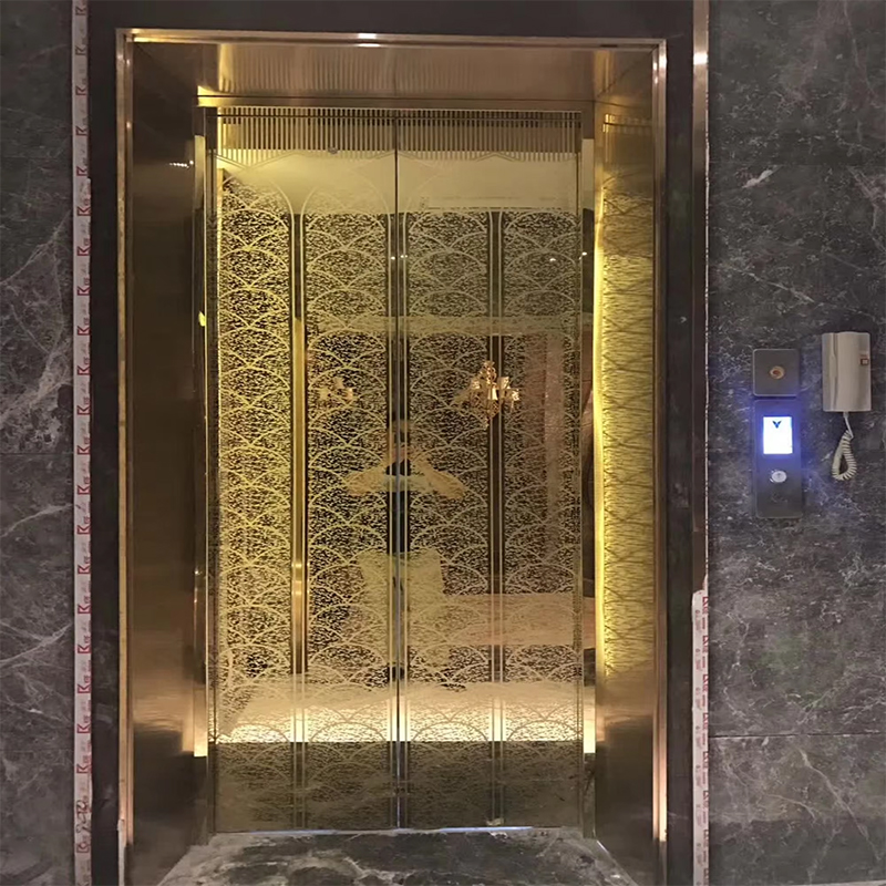 Páirteanna & Gabhálais Elevator VTSP136 Cábáin Ardaithe Paisinéirí le Soilsiú LED agus Maisiú Préimhe