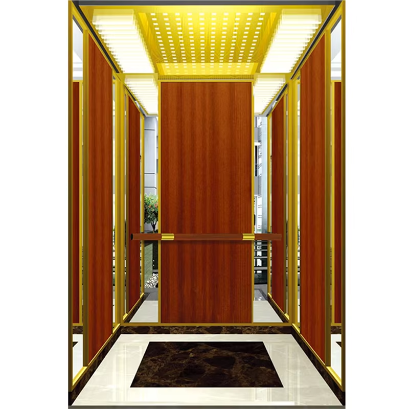 Páirteanna & Gabhálais Elevator VTSP127 Cábáin Ardaithe Cruach Dhosmálta CRUA le sciorta agus ráille láimhe