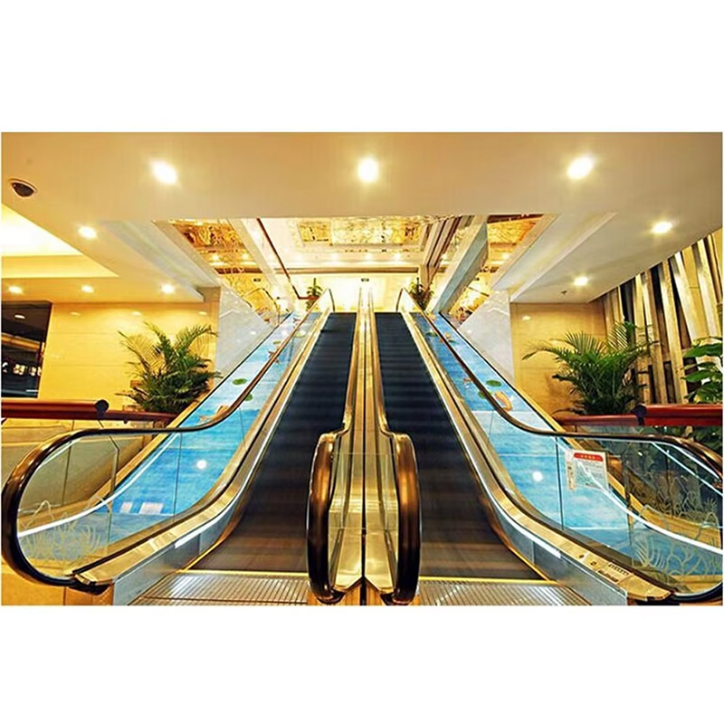 VTES106 Praghas Escalator Allamuigh Iomaíoch Paisinéirí de Cháilíocht