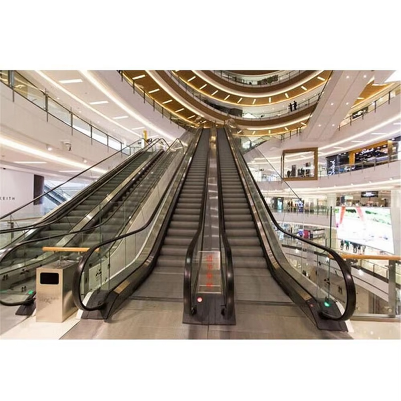 VTES106 Praghas Escalator Allamuigh Iomaíoch Paisinéirí de Cháilíocht