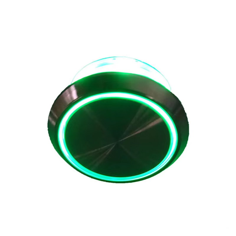 VTSP359 An tSín Díol Te BST Ardaitheoir Athshocraigh 22mm Black Push LED Cruach Dhosmálta Uiscedhíonach Samhail Bharántas Deimhnithe 1 Bliana ISO9001